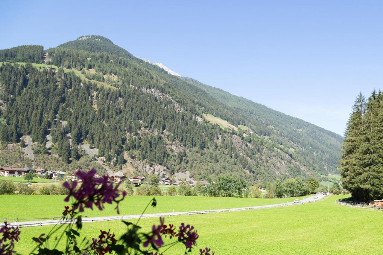 Pension Peter Neustift im Stubaital Kültér fotó